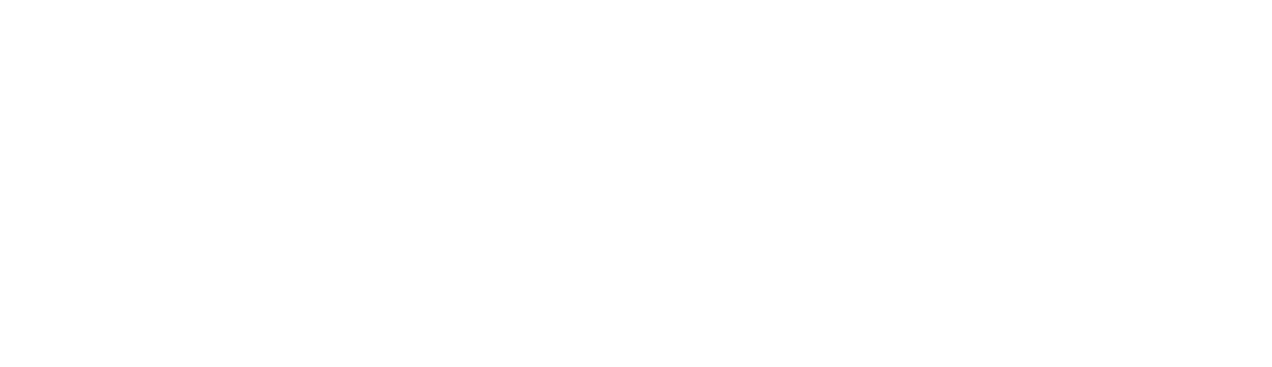 Logo Traveller