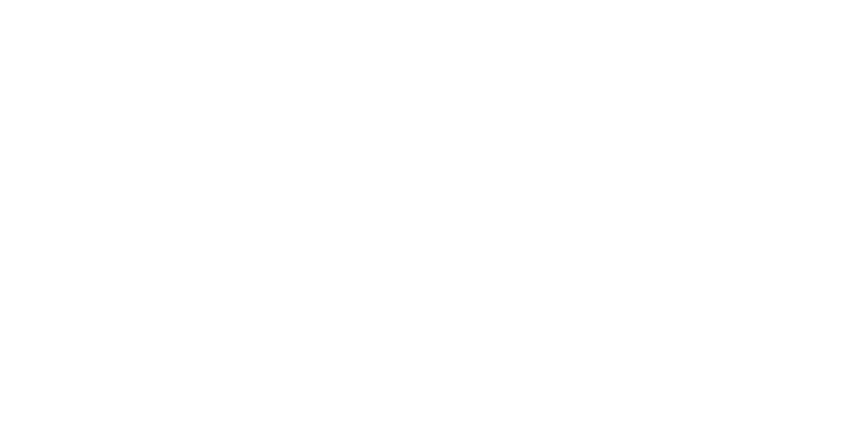Logo Flying Squirrels