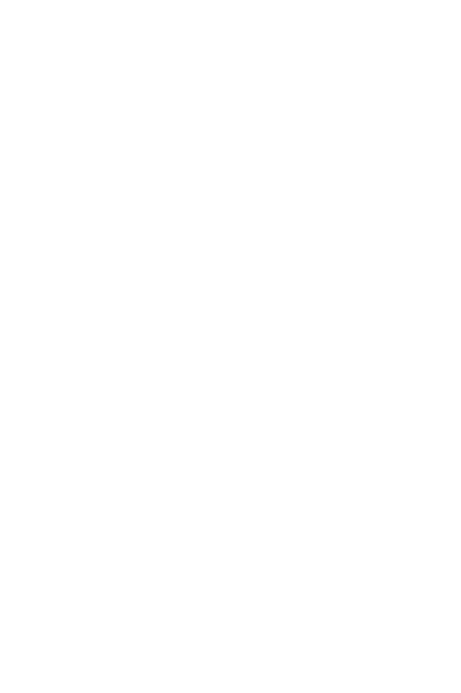 Logo Larian
