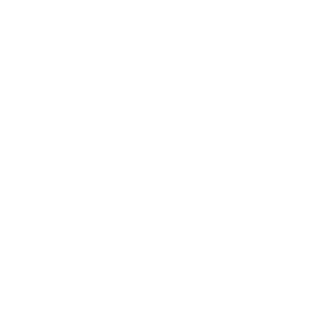 Logo The Wise Dreams
