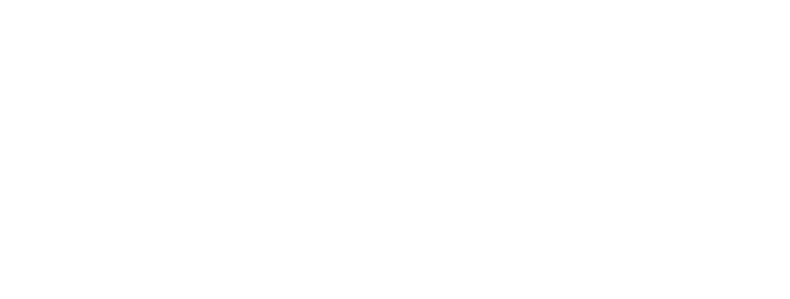 Logo Amusement